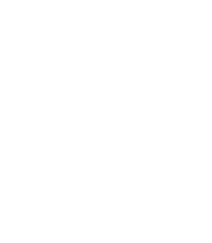 White globe icon