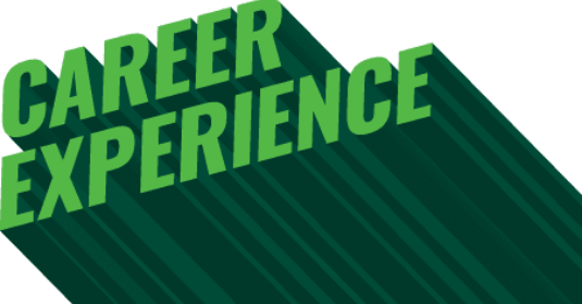 text career experience