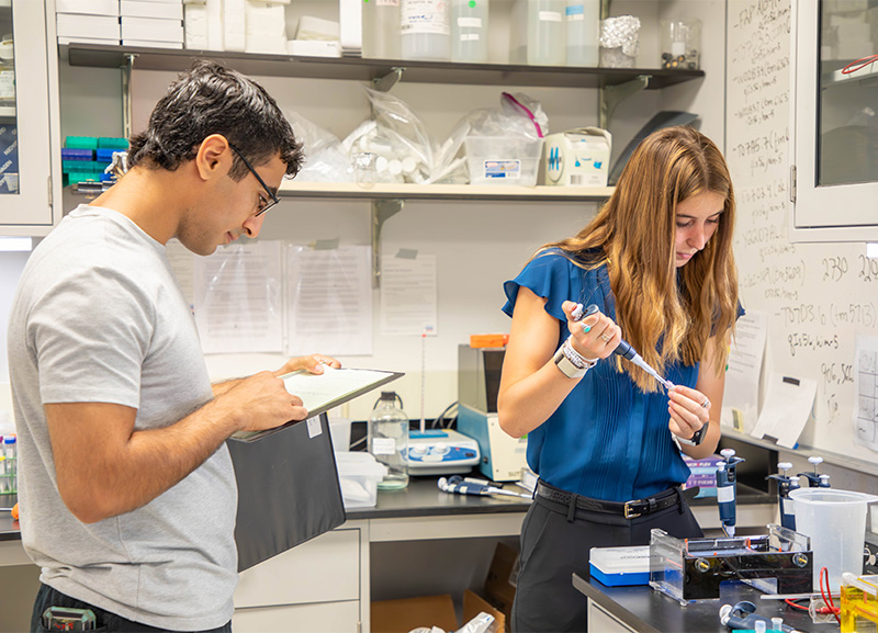 Two students work n a medical lab on the Siena College campus.