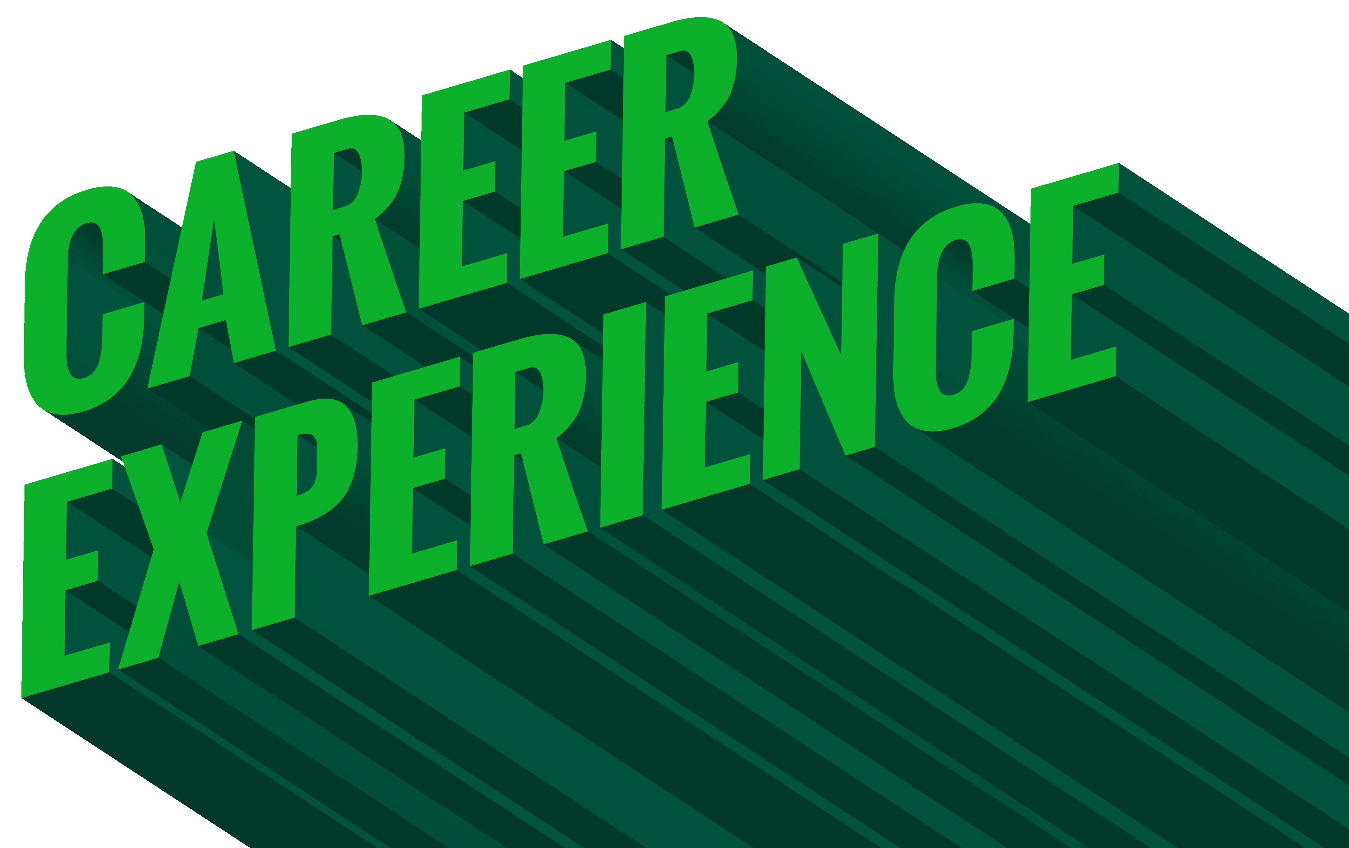 Career experience; 3D text graphic